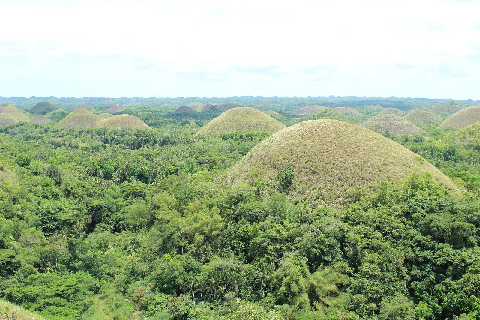 The Chocolate Hills near Carmen, Bohol
