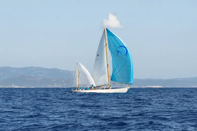 Corsica Classic Skylark of