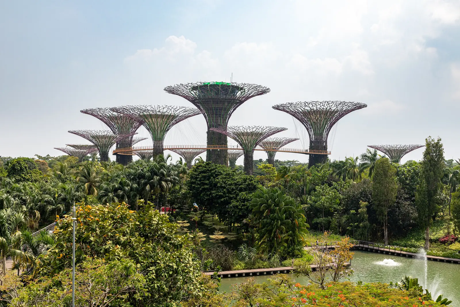 The Supertree Grove at Gardens by the Bay, Singapore