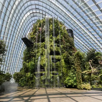 The plant-covered mountain inside the Cloud Forest conservatory