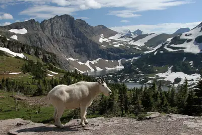 Glacier National Park, Montana, United States