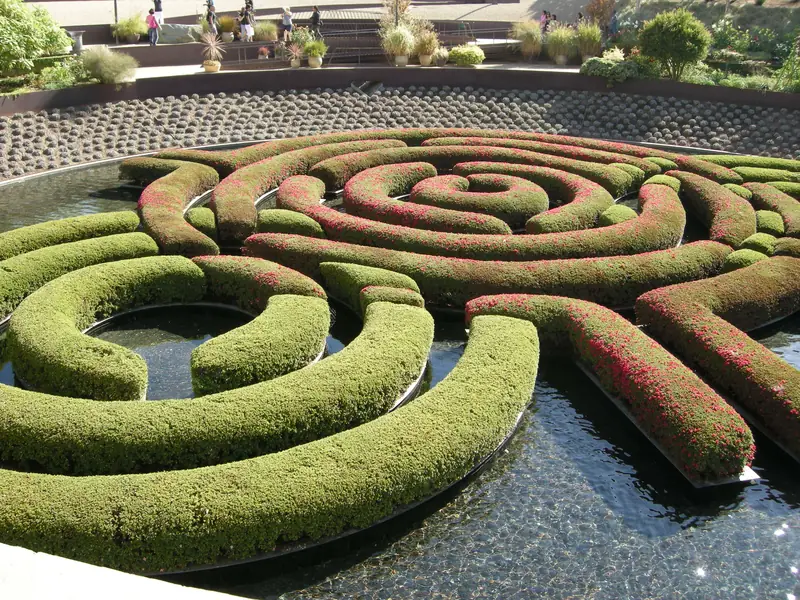 The azalea maze in the Getty Center's Central Garden
