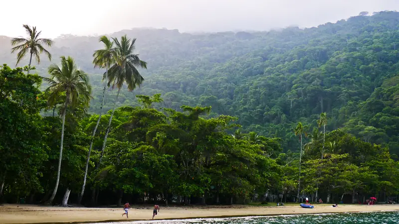 Ilha grande view