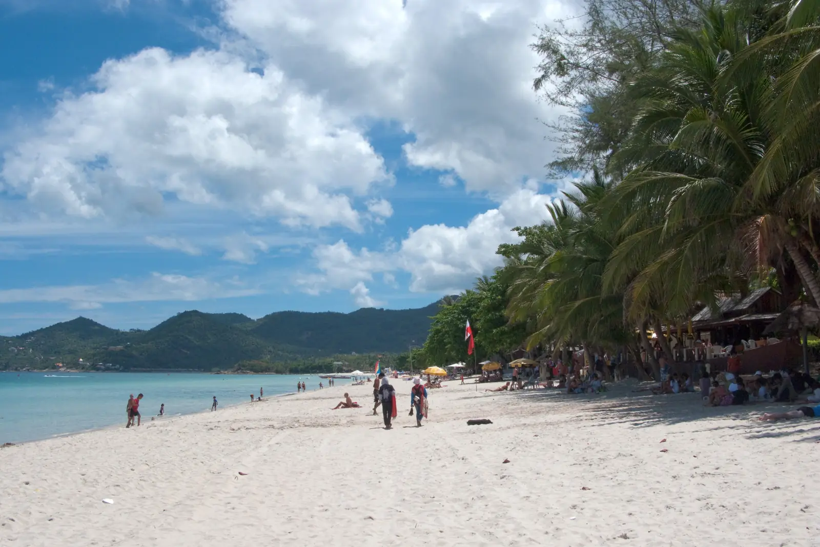 A palm-lined beach on Koh Samui