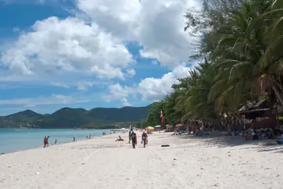 A palm-lined beach on Koh Samui