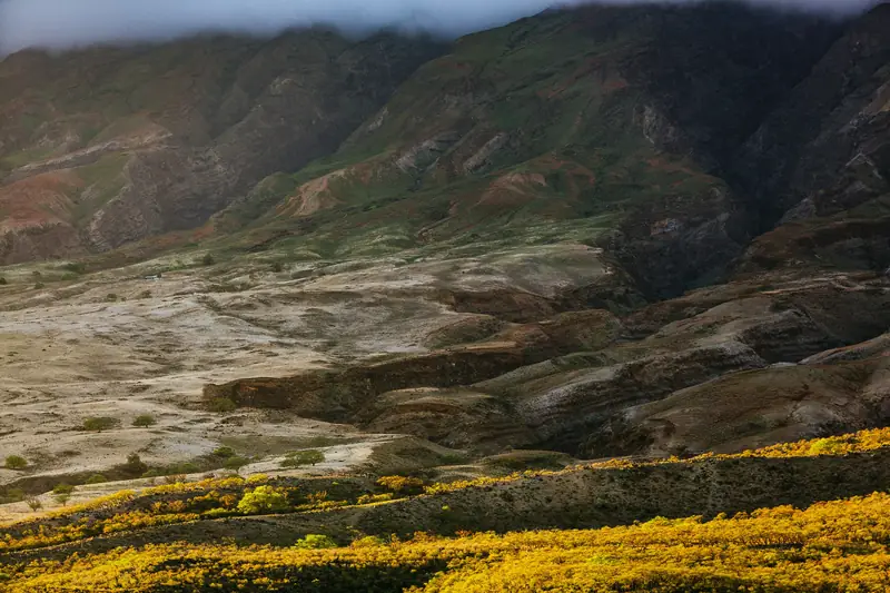 Maui, United States (Unsplash)