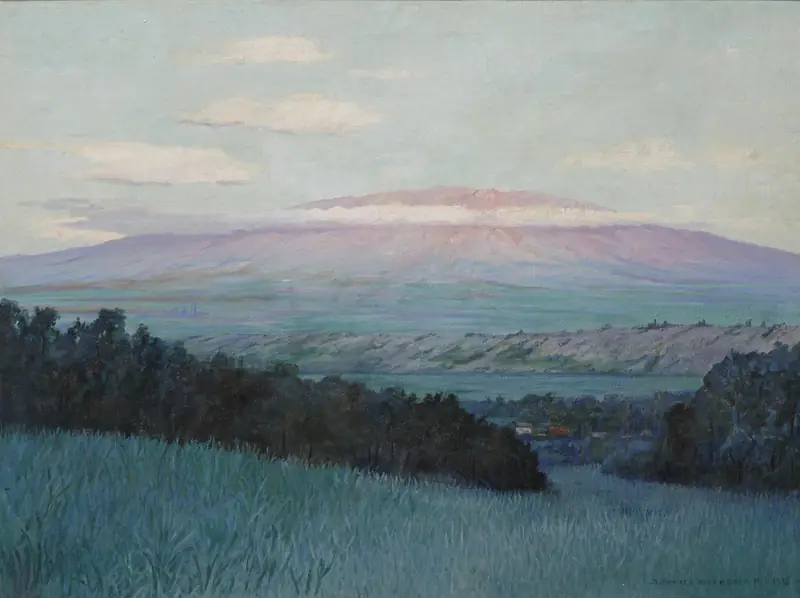 D. Howard Hitchcock - View of Haleakala, Maui