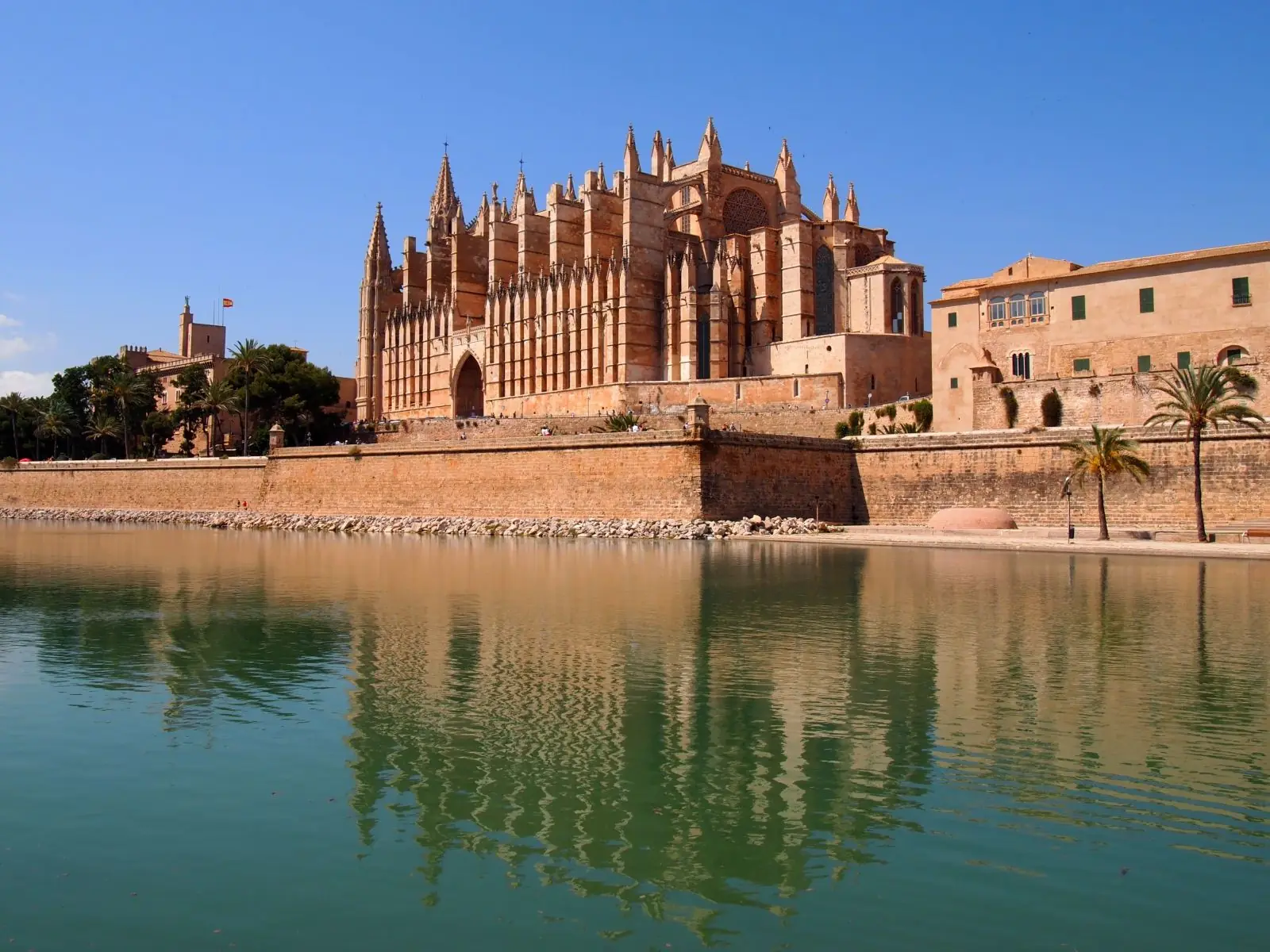 Palma Cathedral (La Seu) reflected in the Parc de la Mar lake