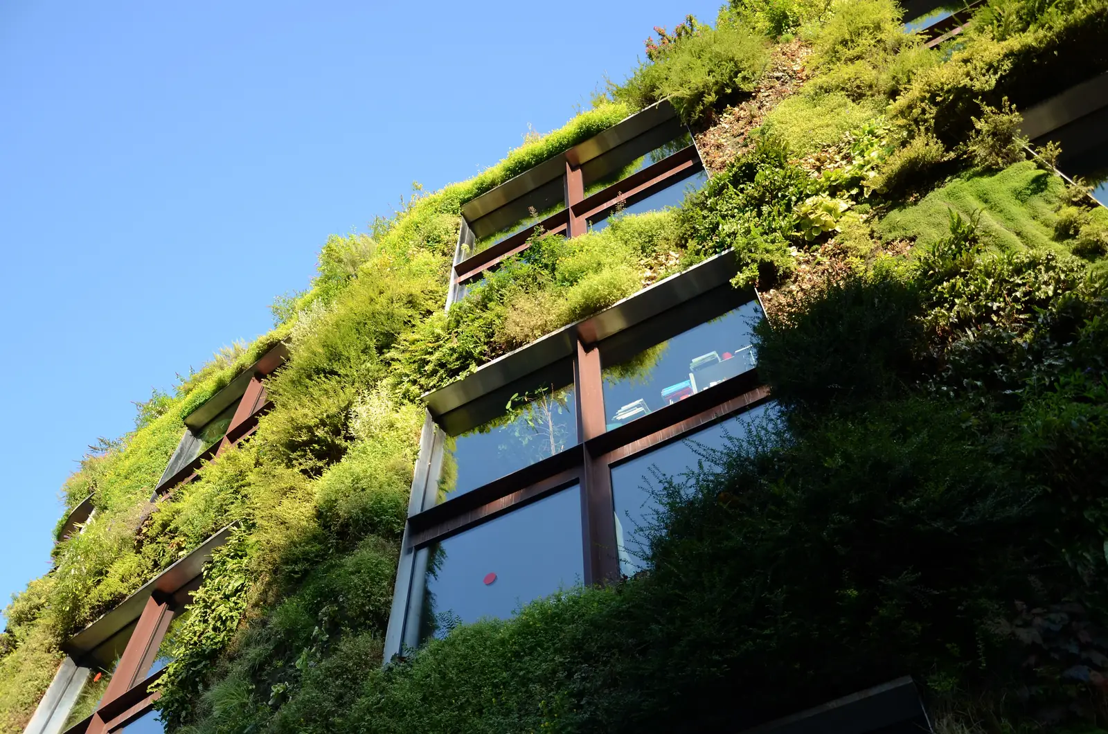 The green wall of the Musée du quai Branly – Jacques Chirac
