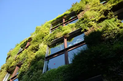 The green wall of the Musée du quai Branly – Jacques Chirac
