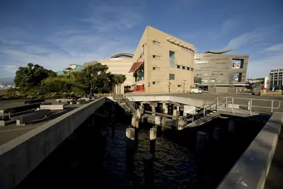 Te Papa on the Wellington waterfront