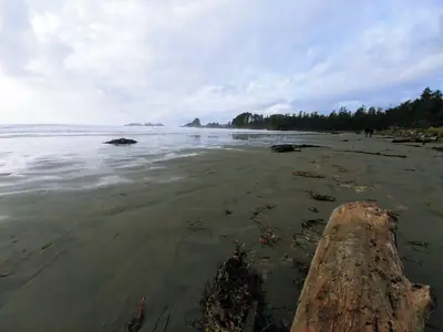 Long Beach near Tofino, Vancouver Island