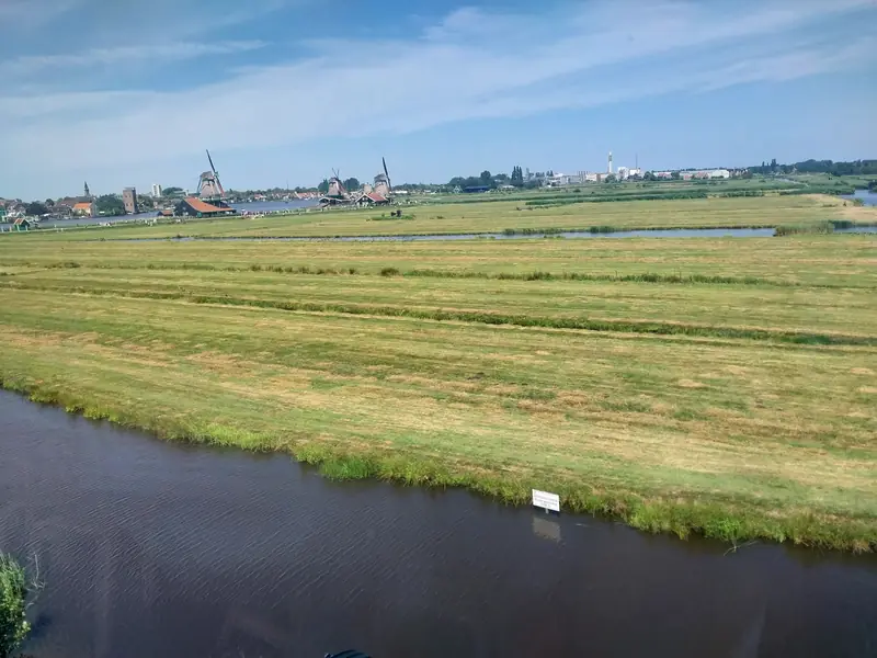 Zaanse Schans, July
