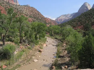 Zion National Park, Utah, United States